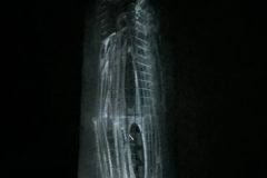 3_Snimek-obrazovky-2025-08-07-142709