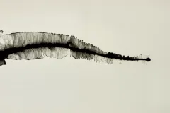 1k4a5172-2048x-q85