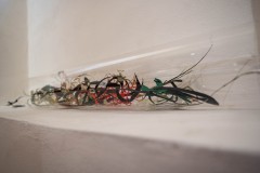 DSC09495