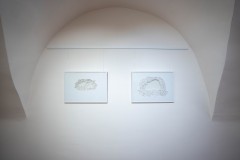 DSC09506