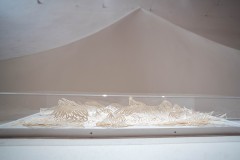 DSC09522