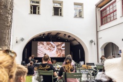 VIDINY105_Day2_web_013