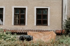 DSC09120