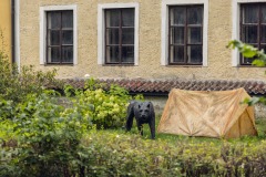 VIDINY105_Day2_web_023