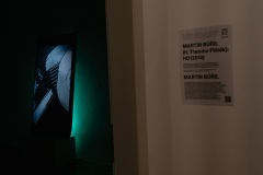 Videoprojekce & videoart