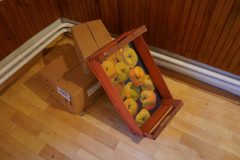 DSC08688-scaled