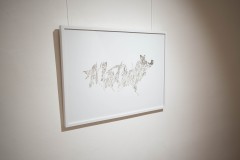 DSC09507